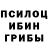 Галлюциногенные грибы Psilocybine cubensis anim9r
