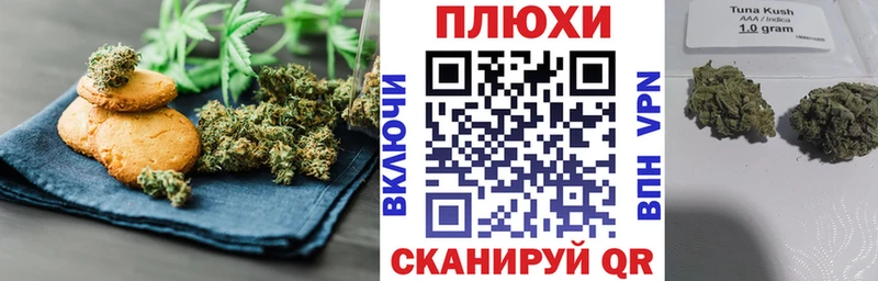 Canna-Cookies марихуана  Каргополь 