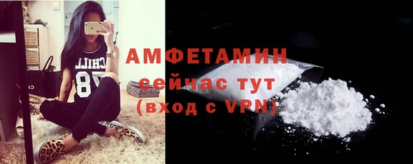 стаф Касимов