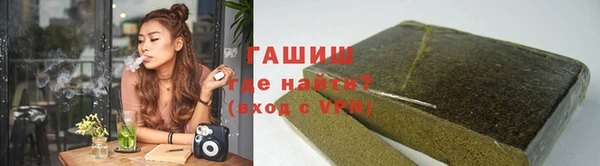 стаф Касимов