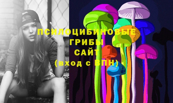 герыч Инсар