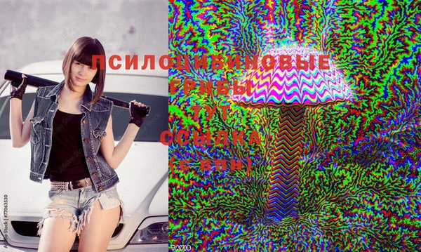 кокс Карталы