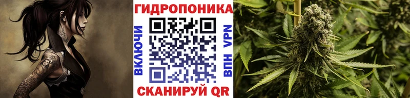 наркошоп  Каргополь  МАРИХУАНА AK-47 